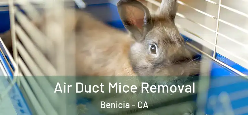 Air Duct Mice Removal Benicia - CA