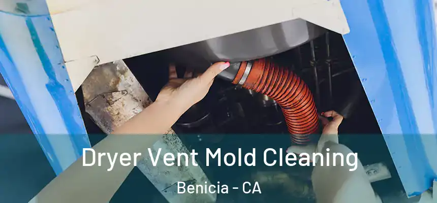 Dryer Vent Mold Cleaning Benicia - CA