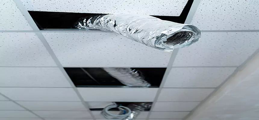 Our Air Duct Pet Hair Removal Services in Benicia, CA