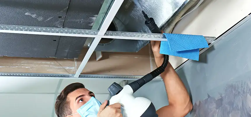 Our Air Duct Rodent Removal Services in Benicia, CA
