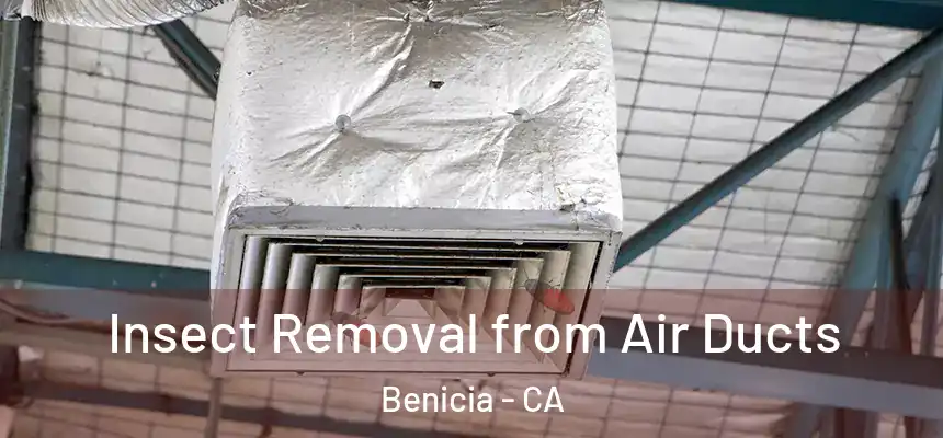 Insect Removal from Air Ducts Benicia - CA