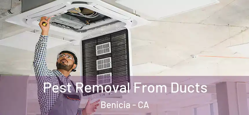 Pest Removal From Ducts Benicia - CA