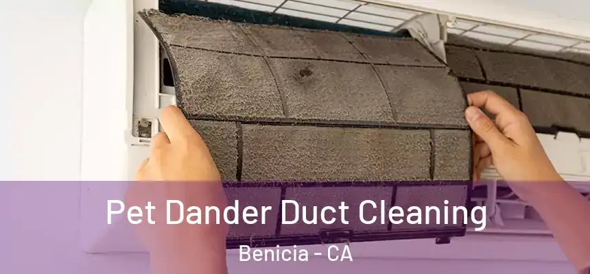 Pet Dander Duct Cleaning Benicia - CA