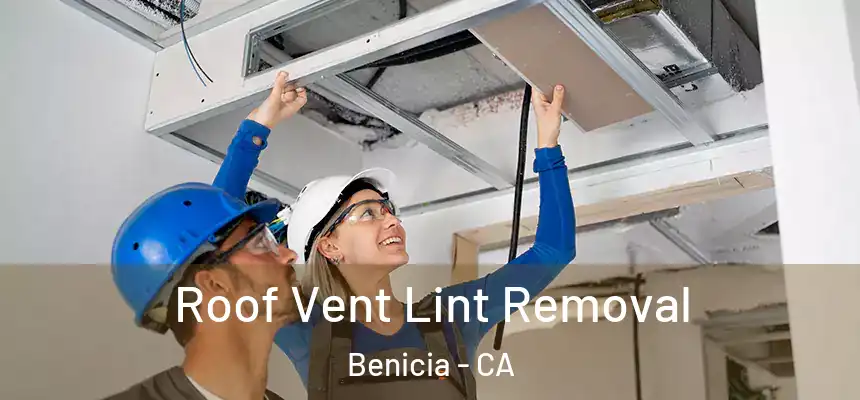 Roof Vent Lint Removal Benicia - CA