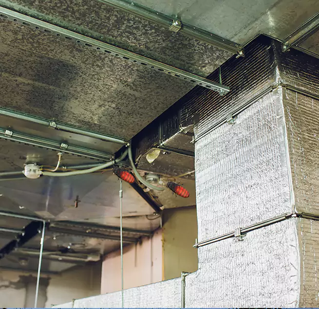 Why Homeowners & Businesses Trust Us in Benicia, CA?