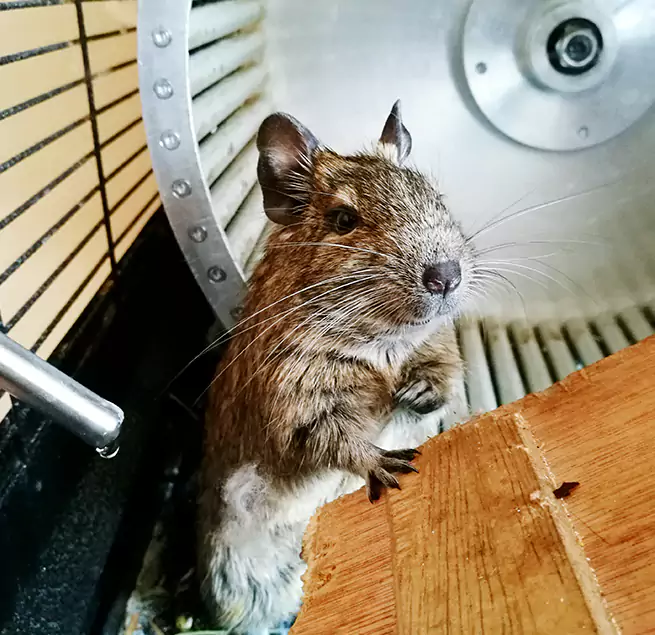 Why Homeowners & Businesses Trust Us Benicia, CA