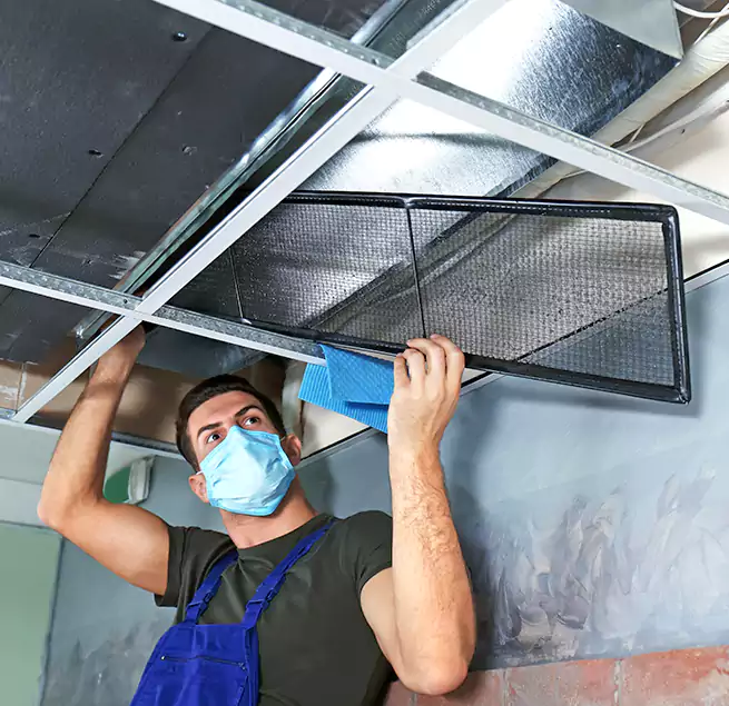 Why Homeowners Businesses Trust Us in Benicia, CA